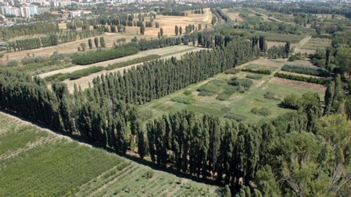 Atatürk Orman Çiftliği Yeniden Kuruluyor! Park Alanları Birleştirilerek Yeni AOÇ İnşa Edilecek!