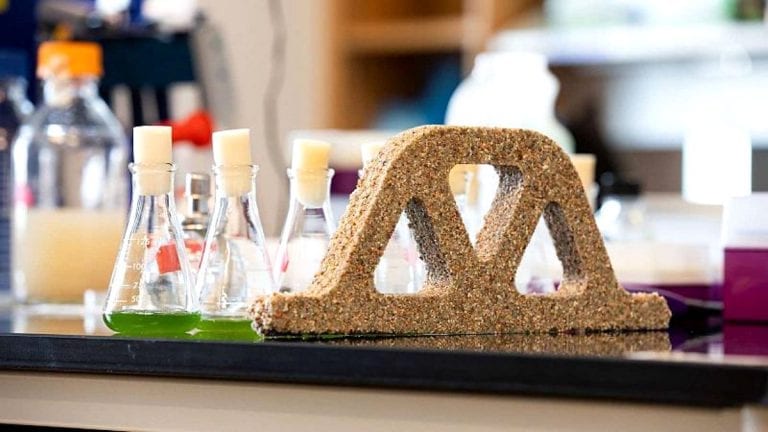 Bilim İnsanları Canlı ve Kendini Tamir Edebilen Tuğla Üretti