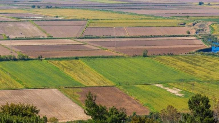 Atıl Durumdaki Hazine Arazileri Tarıma Açılıyor