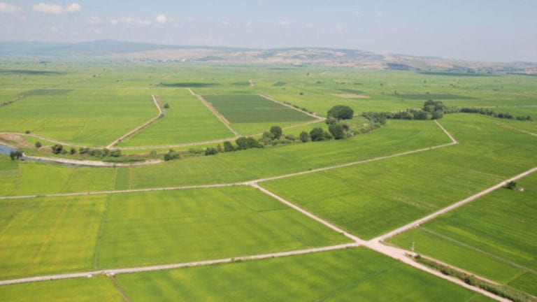 Hazine Bakanı: ’’Arsa ve Araziler Tespit Edilsin ve Yapılaştırılsın’’