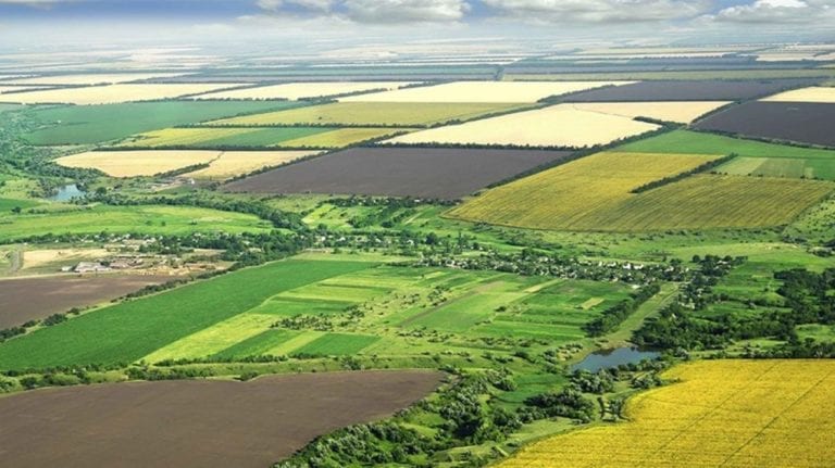 60 Milyon Metrekare Hazine Arazisi Yatırımcılara Tahsis Edilecek!