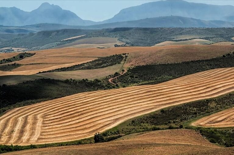 Arsa Yatırımına Talep Arttı