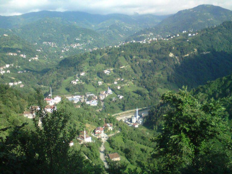 Trabzon’da Devlete Ait 2 Arazi Satışı Gerçekleşecek