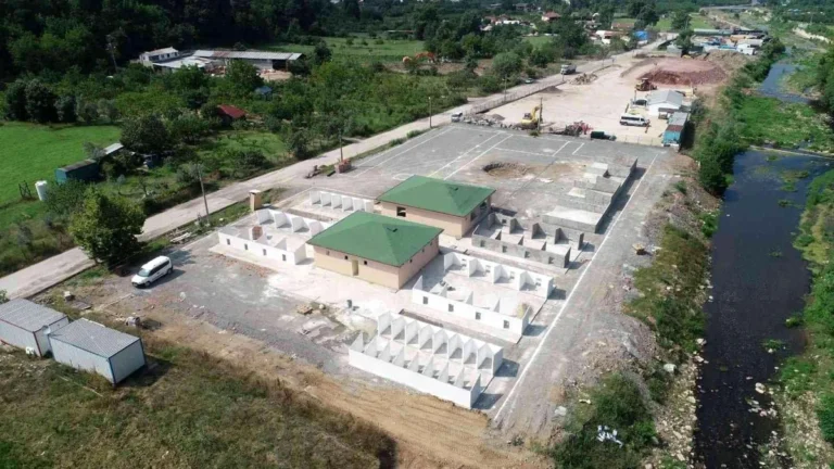 Sokak Hayvanları Rehabilitasyon Merkezi İnşaatı Tamamlanmak Üzere