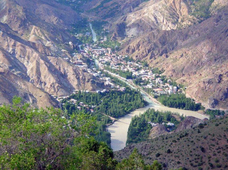 Artvin’in Yeni Yerleşim Yerinde Becayiş Dönemi Başladı