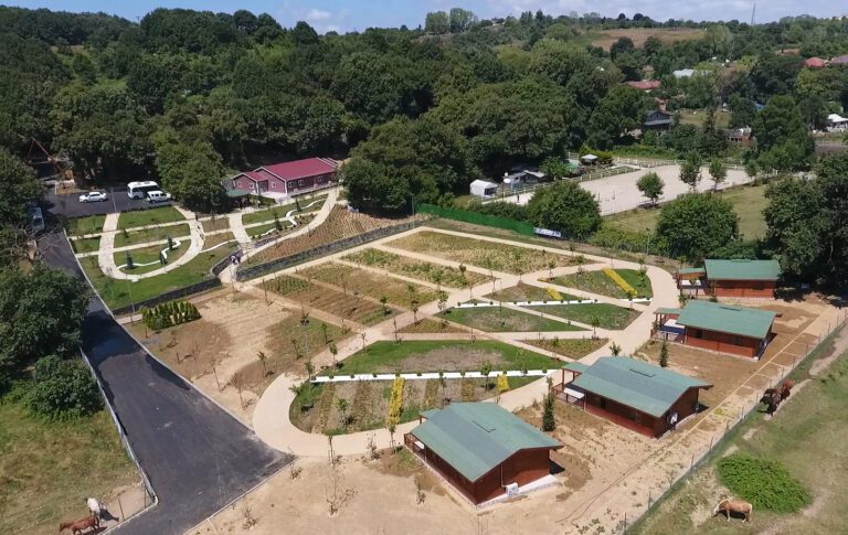 Türkiye’de İlk! Madde Bağımlılarının Umudu: Bağımsızlık Köyü