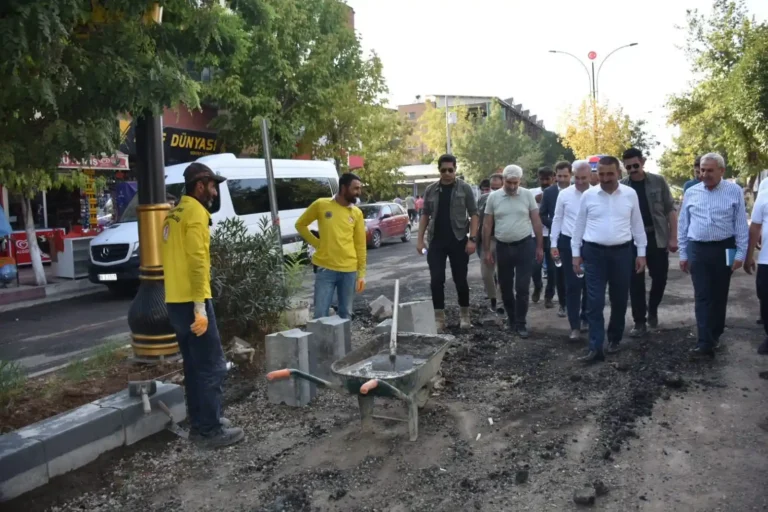 Siirt’te Çalışmalar Devam Ediyor