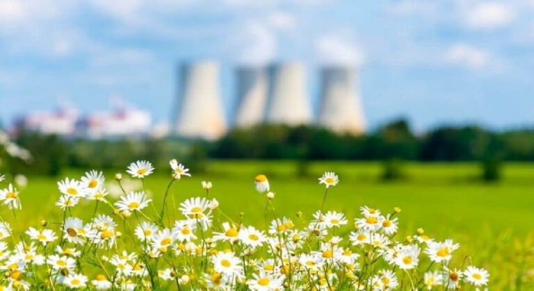 ASO ve CPIA’dan İş Birliği