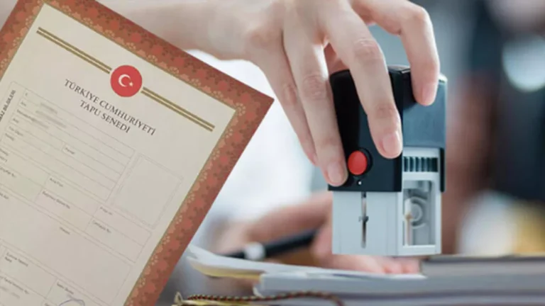 Necip Nasır Ekspertiz Zorunluluğu Hakkında Konuştu