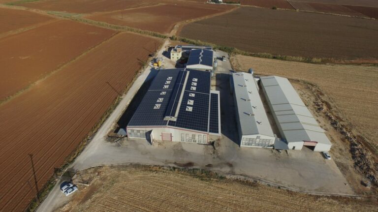 CW Enerji, GES Kurulumlarına Devam Ediyor