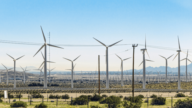 Türkiye’nin Rüzgâr Türbini Kanadı Üretimi İhracat Gücünü Arttırdı