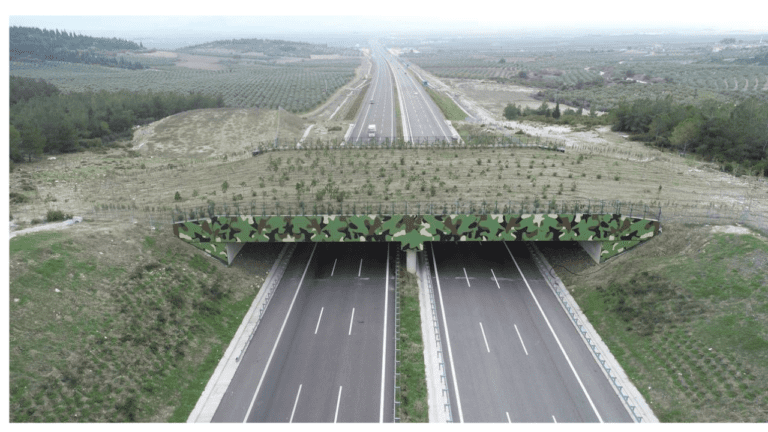 Bakan Uraloğlu: ‘’4 Ekolojik Köprü İnşaatı Devam Ediyor’’