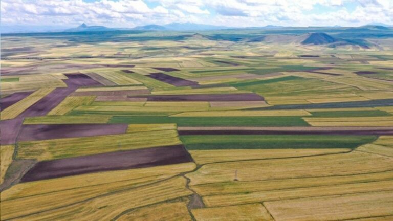 10 Ayda 1,4 Milyon Adet Arsa Satışı Yapıldı