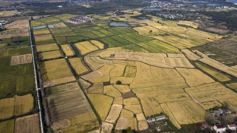 Konut Satışları Yerini Arsaya Bıraktı