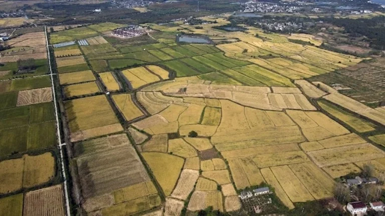 Konut Dışı Satışların Toplam Satışlar Arasındaki Payı Yüzde 58 İle Son 11 Yılın En Yüksek Oranı Oldu