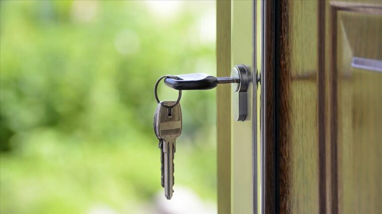 Devremülke İlgi Arttı