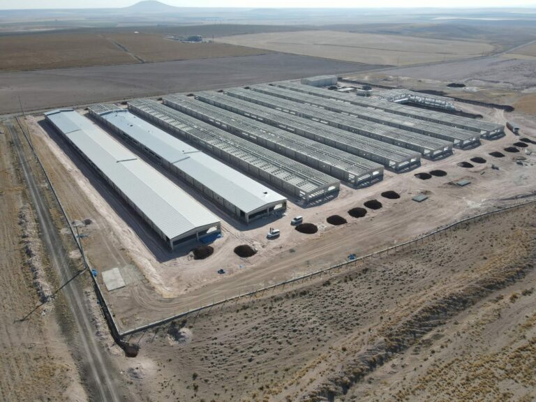 İnşaat Sektöründe Birinci Sınıf Çözümler Kıraç Yapı’da