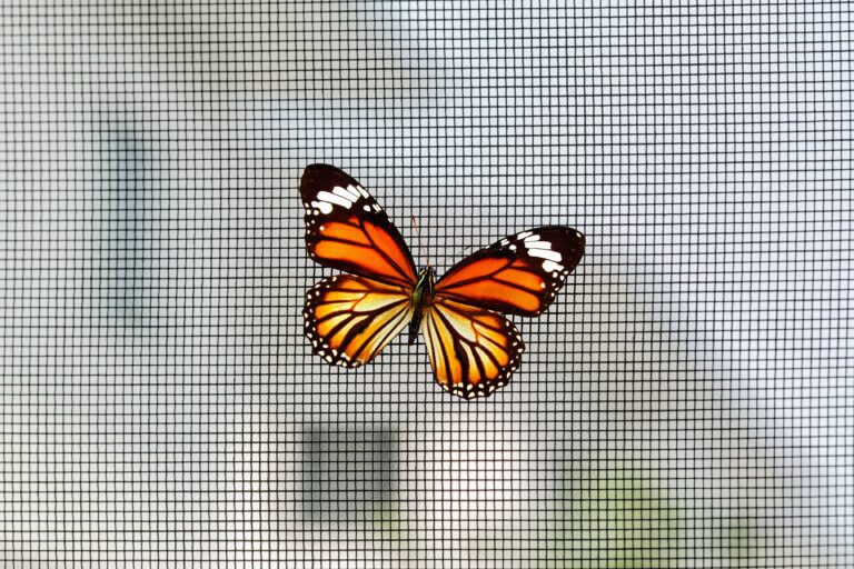 Egepen Deceuninck’ten Modern ve Fonksiyonel Sineklik