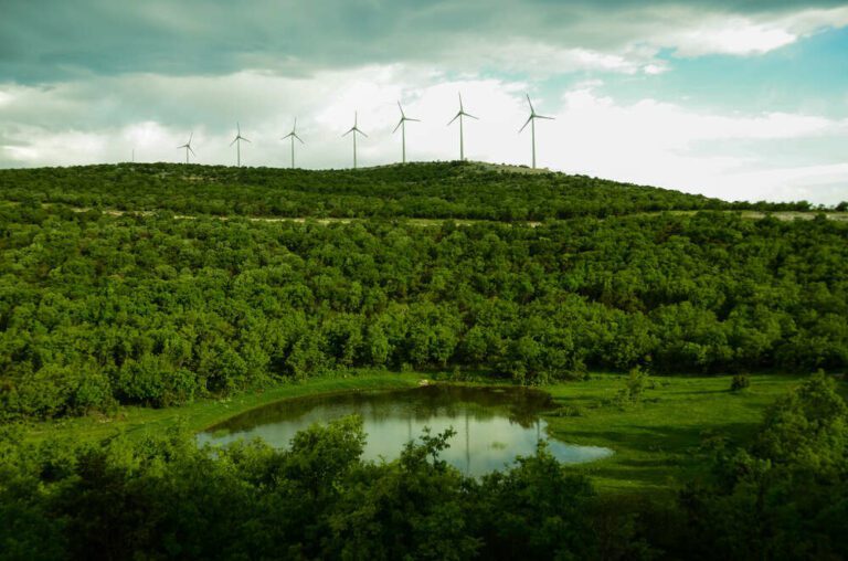 Polat Enerji Yatırımlarını Hızla Sürdürüyor