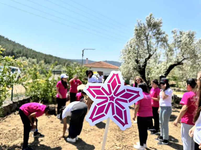 Yanmar Turkey Desteğiyle Geleceğin Yetenekleri; Kara, Deniz ve Şehir Alanlarındaki Uygulamalı Eğitimlerle Çiçek Açıyor!