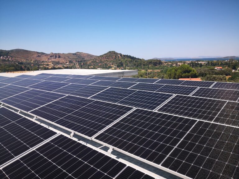 “Dünyada Sürdürülebilir Enerjiye Geçiş Süreci Yaşanıyor”