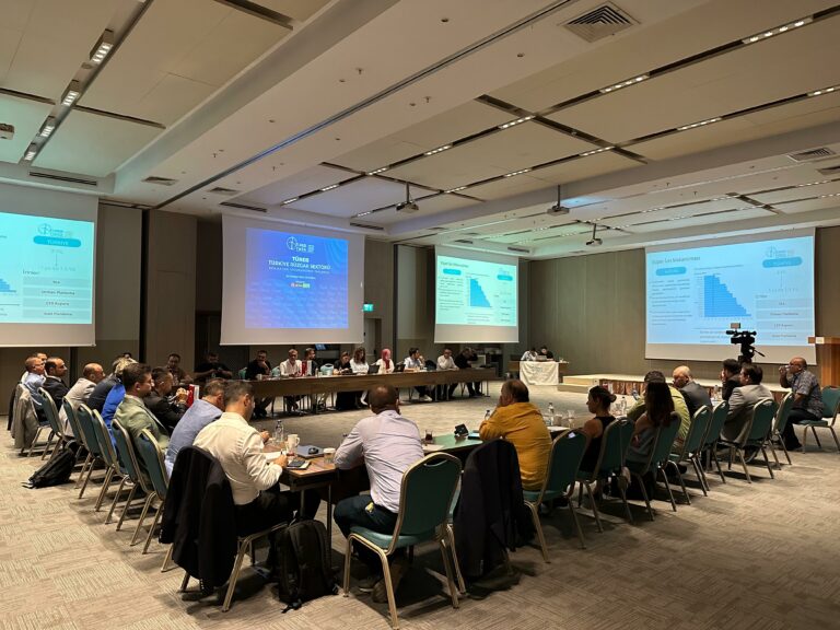 TÜRKİYE RÜZGAR KURULU GÜCÜ 13 BİN MW’A DAYANDI!