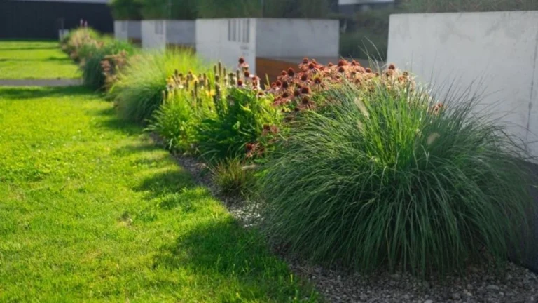 İnşaat Yapılarında Peyzajın Önemi