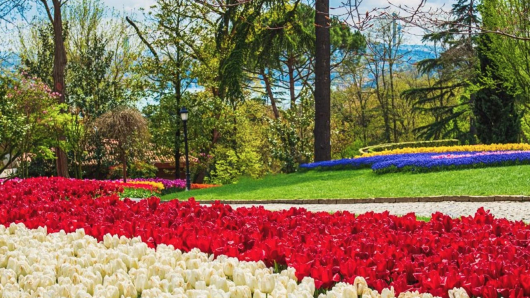 Peyzaj Sektörü İzmir’de Buluşuyor