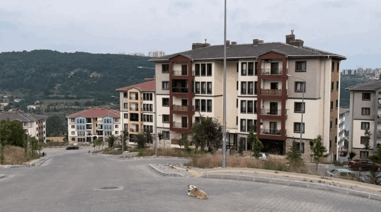 5 yıl sonra İzmit’in en güzel mahallesi olacak!