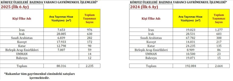 EVA Gayrimenkul Değerleme 2024 ve 2025 ilk 6 ayının yabancı yatırımcılarını değerlendirdi