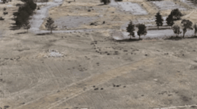 Polatlı’da TOKİ çalışmaları başladı